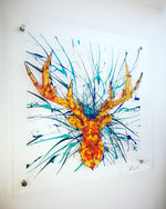 Stag Head Wall Art
